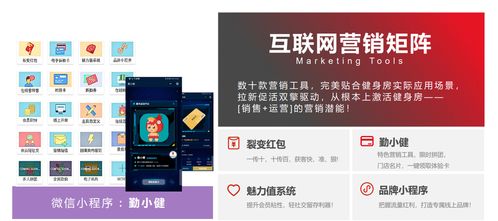 勤鳥科技 健身房管理系統(tǒng) 智能管理系統(tǒng)